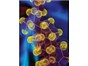 Image: Newest Innovations in Mass Spectrometry