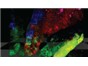 Image: Cancer Stem Cells Really Do Exist?