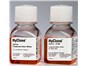 Image: Thermo Fisher Scientific Expands Cryopreservation Reagents for Cell Culture
