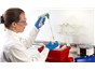 Image: NEW RAFT Kit for 3D Cell Culture in Inserts Introduced on Booth #712 at SLAS2013  A Simple Way of Creating Physiologically Relevant Co-Cultures and Barrier Models