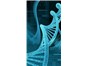 Image: Purified Genomic DNA and cDNA Products Save Research Time