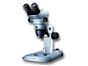Image: Product Focus: Live Cell Imaging - Microscopy in Real Time