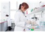Image: New DNA Test Cuts Time to Find Horsemeat in Food from Two Days to Less than Four Hours