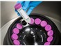 Image: New Rotor from Beckman Coulter Life Sciences Increases Centrifugation Throughput and Flexibility
