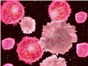 Image: New Product: Human Endothelial Progenitor Cells