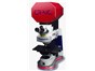 Image: UV-visible-NIR Microspectroscopy Available with Windows 10®