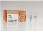 Image: New England Biolabs® Lights The Way With Luna® Universal Kits For Simplified qPCR and RT-qPCR