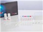 Image: Analytik Jena Wins New Product Award for Innovation in Nucleic Acid Extraction at SLAS 2017
