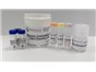 Image: Innova Biosciences introduces Magnetic Conjugation Kit