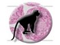 Image: InSphero Launches 3D InSight™ Monkey Liver Microtissues at Annual Society of Toxicology Meeting
