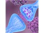 Image: Ready-to-use Adeno-Associated Virus Biosensors