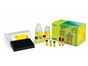 Image: Bio-Rad Expands Its Multiplex Immunoassays with the Launch of Bio-Plex Pro™ Human Apolipoprotein Panel