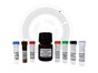 Image: Gyros Protein Technologies introduces next generation Gyrolab Protein A Kit for Biotherapeutics