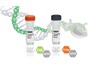 Image: Bio-Rad Introduces First Droplet Digital™ PCR–Based Assays to Quickly Quantify CRISPR Efficiency