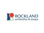 Image: CEDARVILLE Engineering Group & Rockland Immunochemicals, Inc. Collaborate Together on a 3D Bioprinting Discovery Project