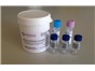 Image: SYGNIS AG Installs Scalable Production Capability for Lightning-Link Antibody Conjugation Technology