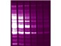 Image: Mix-n-Stain™ Total Protein Prestain Kits