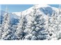 Image: Climate and hydrology studies leveraging ASD VNIR spectral snow albedo measurements