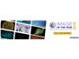 Image: The Art of Science: Olympus Launches the First Global Image of the Year Award
