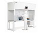 Image: VERTICAL LAMINAR FLOW STATION