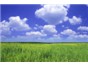 Image: Check Out the New Category on LabWrench: Air Samplers