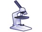 Image: The Importance of Microscopy in the Laboratory