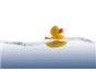 Image: Things to Consider When Purchasing a Water Bath