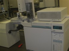 PHOTO_1