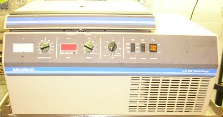 PHOTO_1