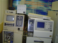 PHOTO_1