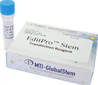 globalstem